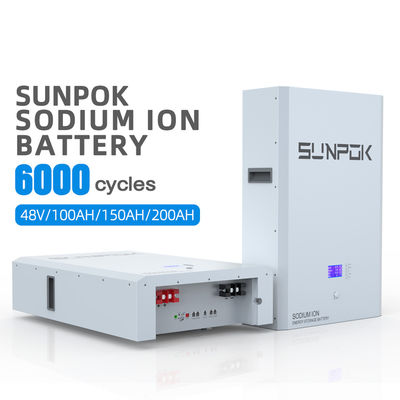 Lithium Ion Sodium Ion Batteries 48V Built In Smart BMS