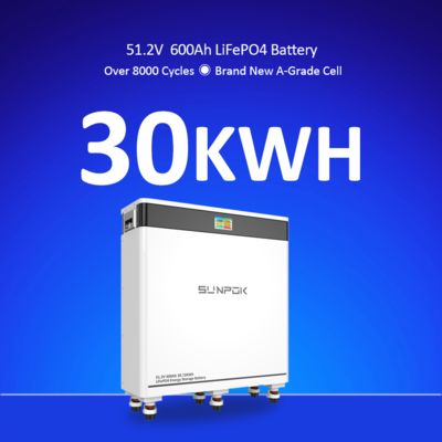 Household ESS 200A/300A Current 51.2V 600Ah 30kwh LiFePO4 Battery Pack Split Type with CAN Communication Port